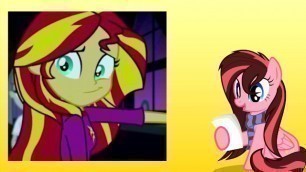 [NO PORN] Reading ~ so Sunset Shimmer doesn't like Screwing Horses now