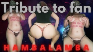 Tribute to my number 1 fan, HAMBALAMBA, you little bitch doing striptease just for you, Mirelladelicia naughty little bi